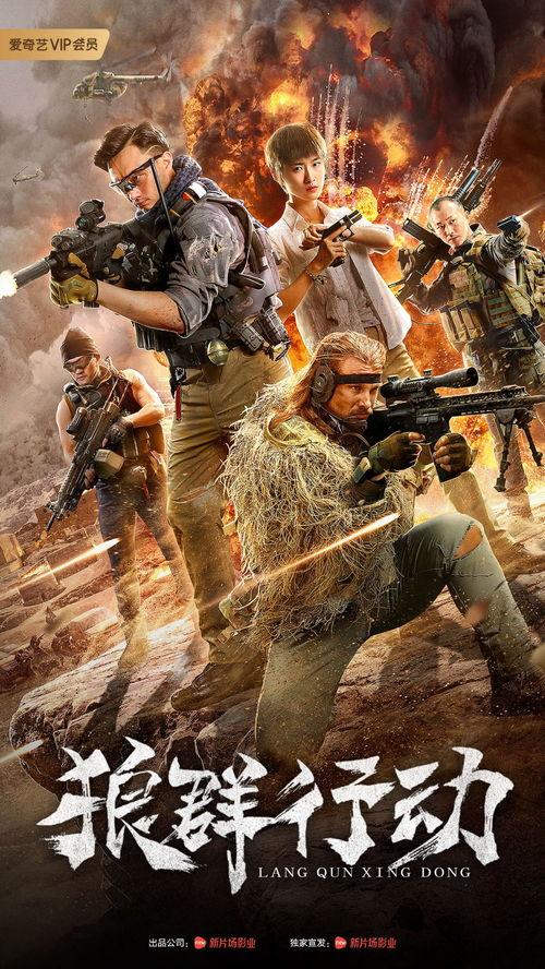 狼群行动,协同狩猎的艺术与智慧